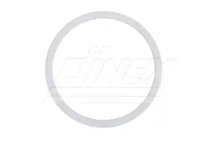Exhaust Gasket for Navistar